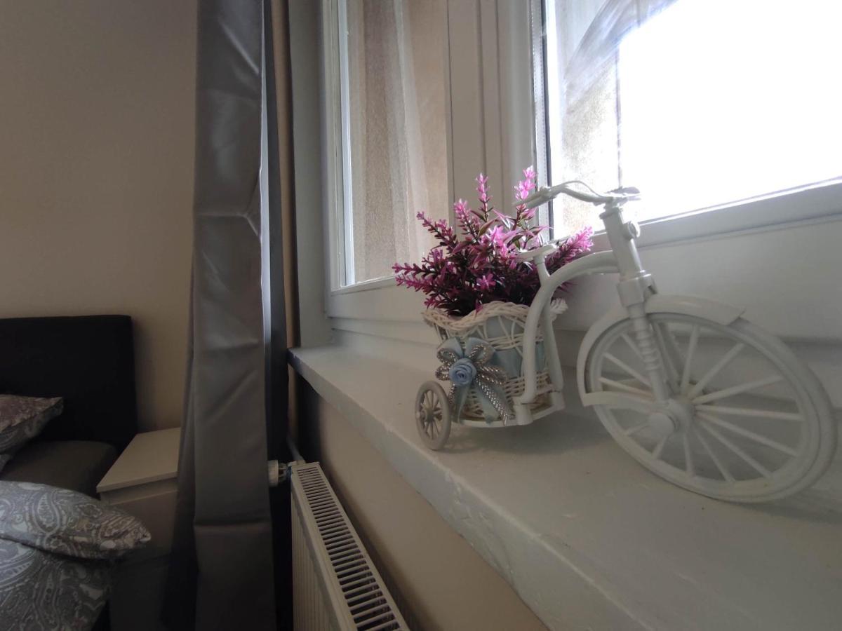 ***Casablanca Apartament*** - 40M² ✓ Рибник Екстериор снимка