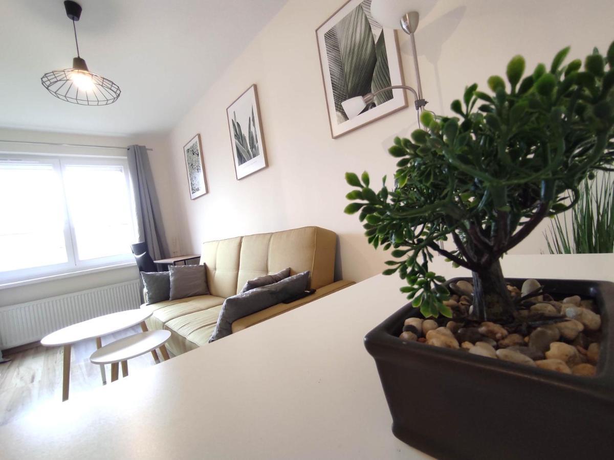 ***Casablanca Apartament*** - 40M² ✓ Рибник Екстериор снимка