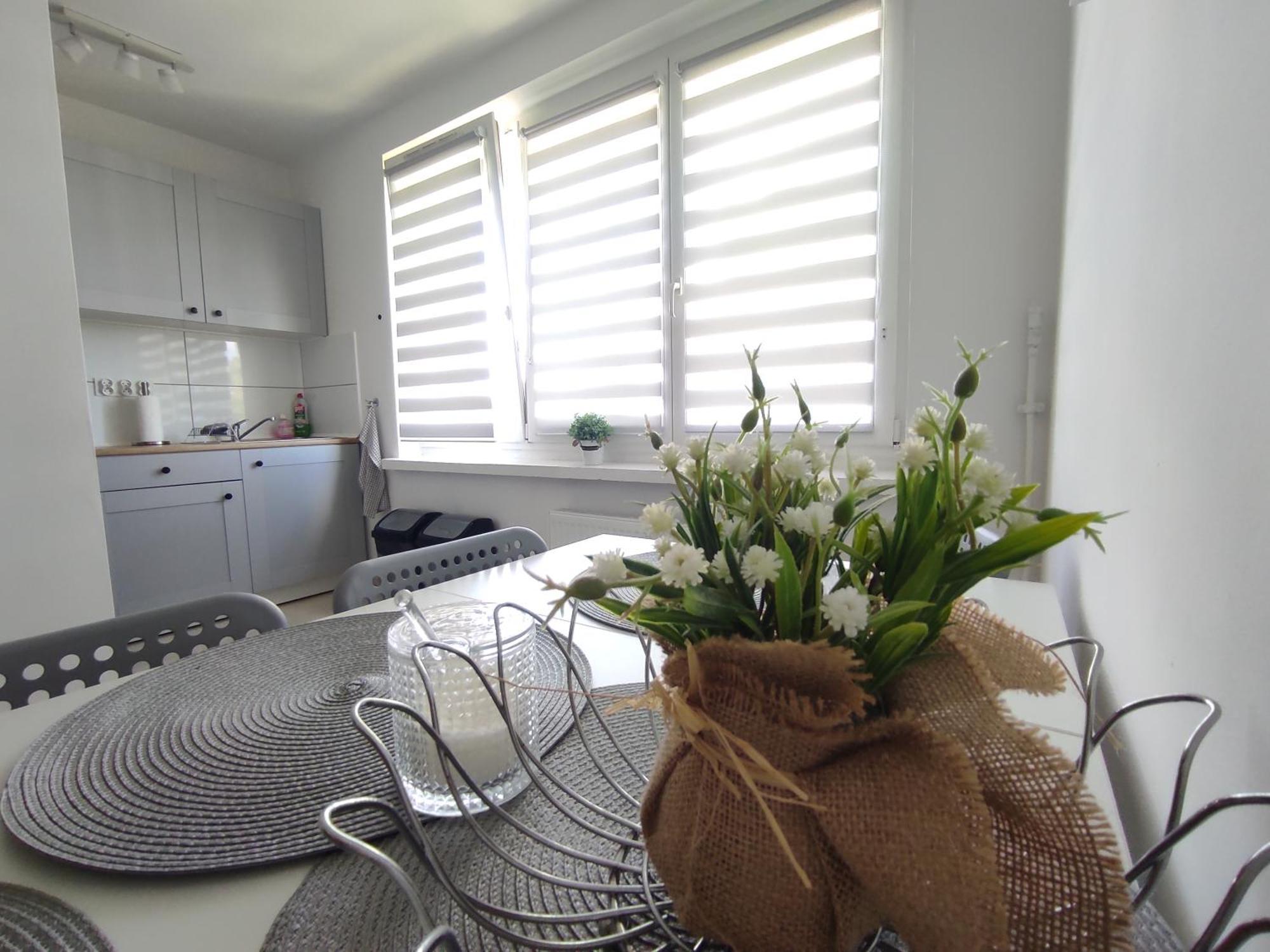 ***Casablanca Apartament*** - 40M² ✓ Рибник Екстериор снимка